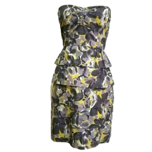 J.Crew Strapless Dress.